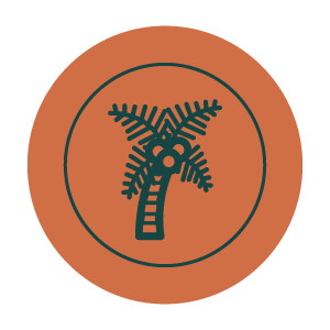 Palme